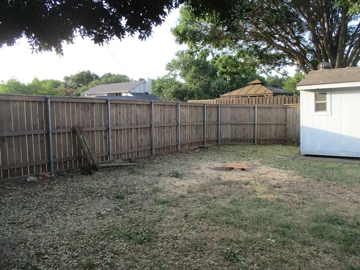 Cleared yard after professional tree removal in Decatur